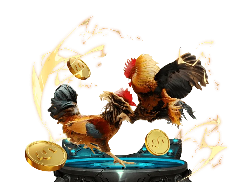 Chương trình VIP sm611 với nhiều đặc quyền